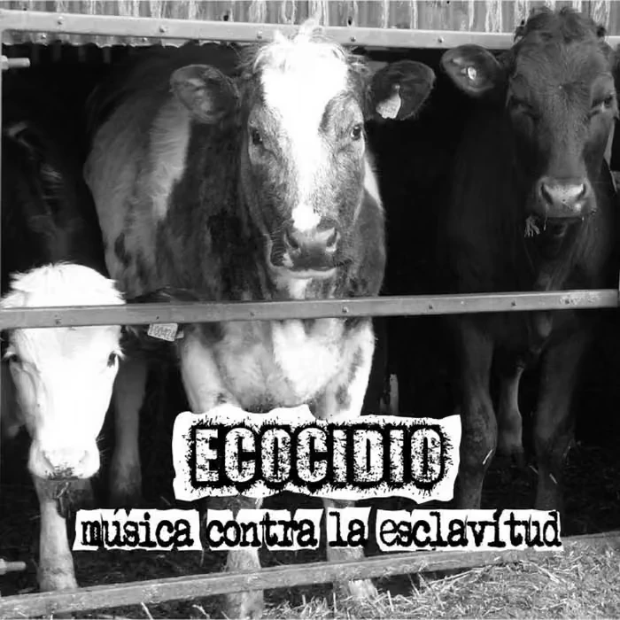 Ecocidio · Música contra la Esclavitud artwork